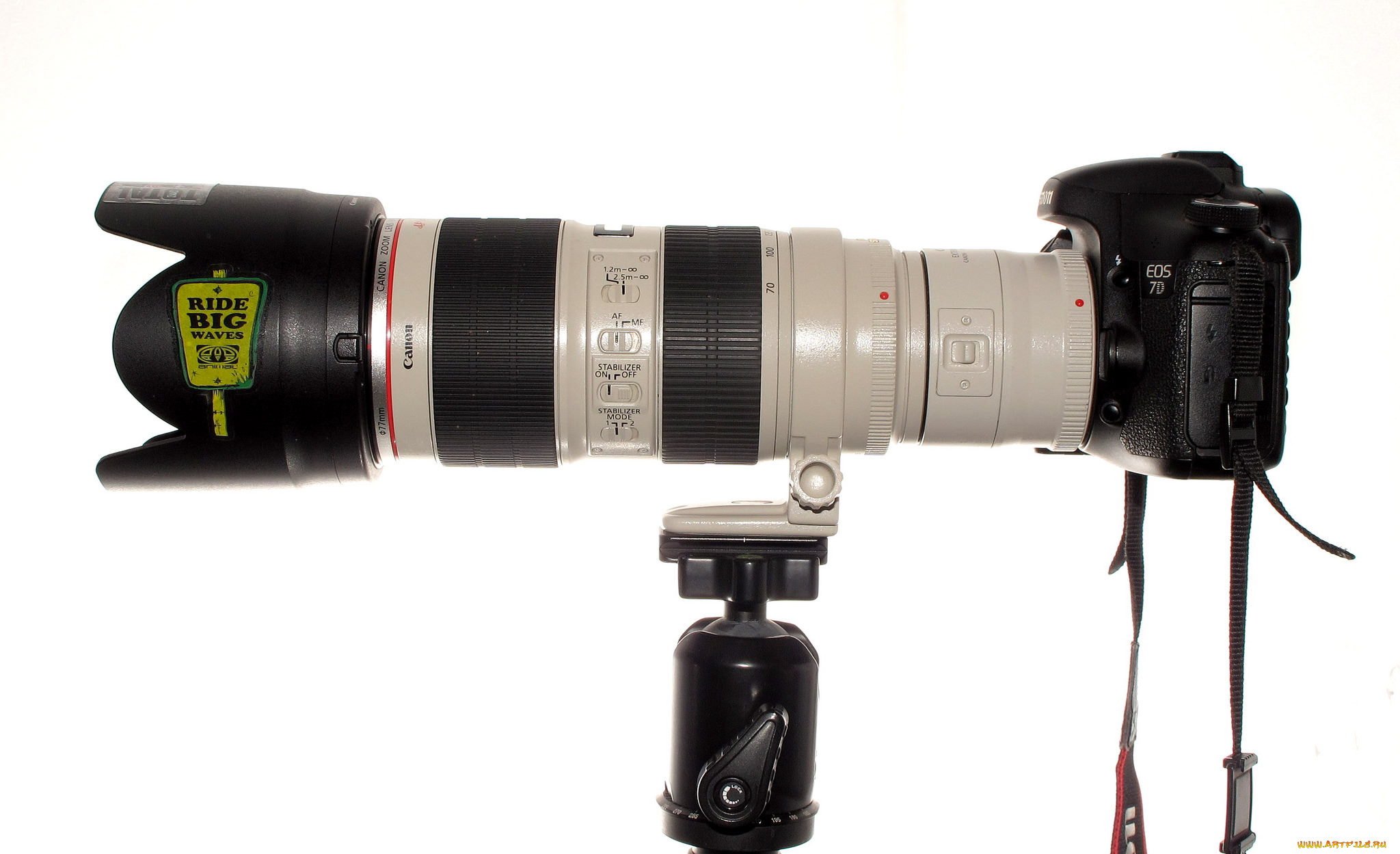 canon, , 